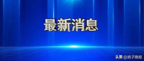 专家爆料酒骗局视频播放,专家曝光爆料酒视频播放真相
