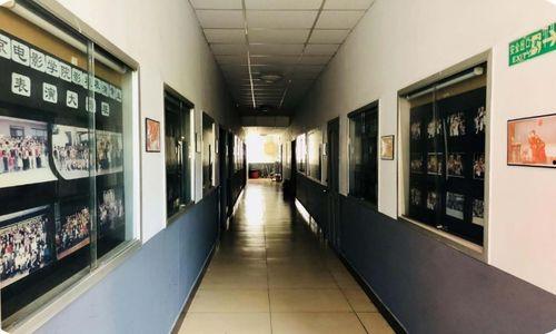 北京艺术学院明星,璀璨星途，艺术之光