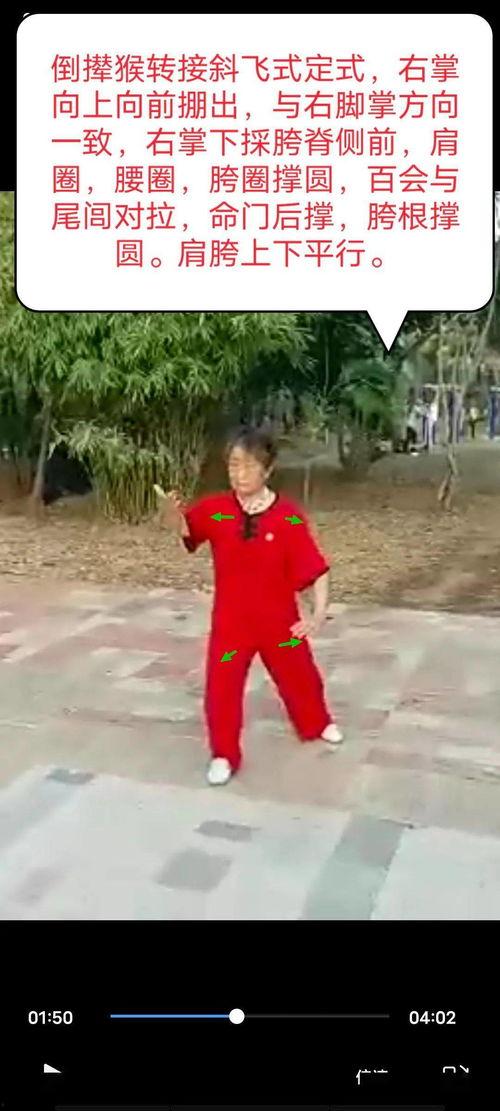 杨氏八十五太极视频,传承经典，展现太极魅力