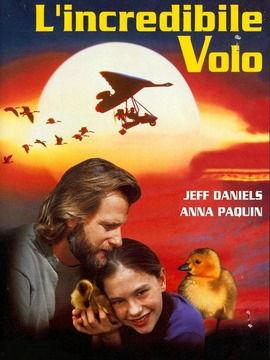 免费观看伴你高飞,揭秘“伴你高飞”免费观看之旅