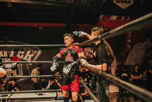 成人动态无码图片下载,隐私与伦理的边界探索