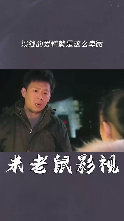 没有金钱的爱情在线播放,揭秘没有金钱的爱情在线播放背后的感人故事