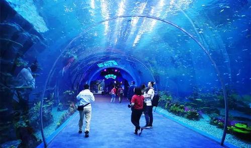 海洋最新爆料视频大全,最新爆料视频大全集锦