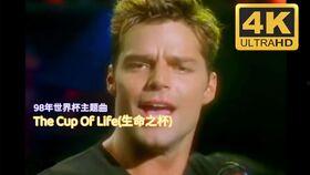 歌星老公是运动员,揭秘歌星老公的运动员身份