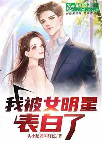 明星出租小说,一场跨越身份的浪漫邂逅