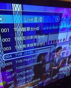 高清翡翠台节目在线播放