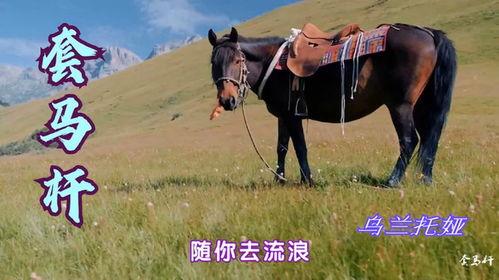 新套马杆视频,创新演绎西部风情，探寻民族音乐新篇章