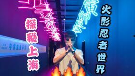 日本火隐忍者主题公园,日本火隐忍者主题公园深度探秘