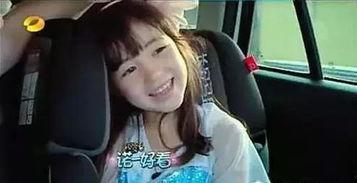 胖轩视频,揭秘美食背后的故事与人生哲理