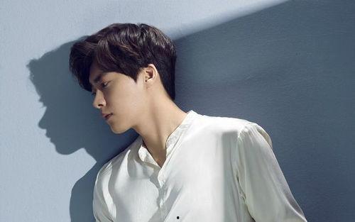 娱乐爆料李现李易峰视频,娱乐圈新火花引热议